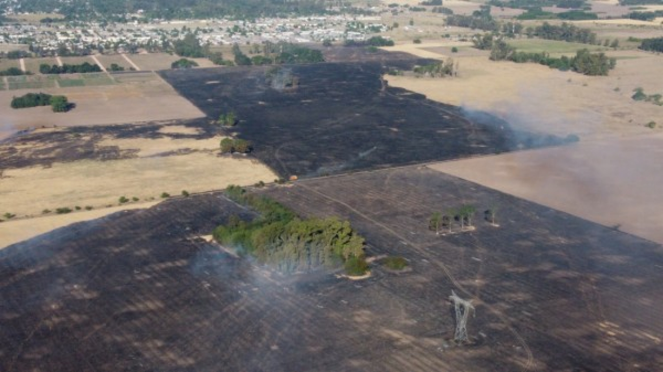 Infierno en campos cercanos al barrio bicentenario por un importante incendio forestal
