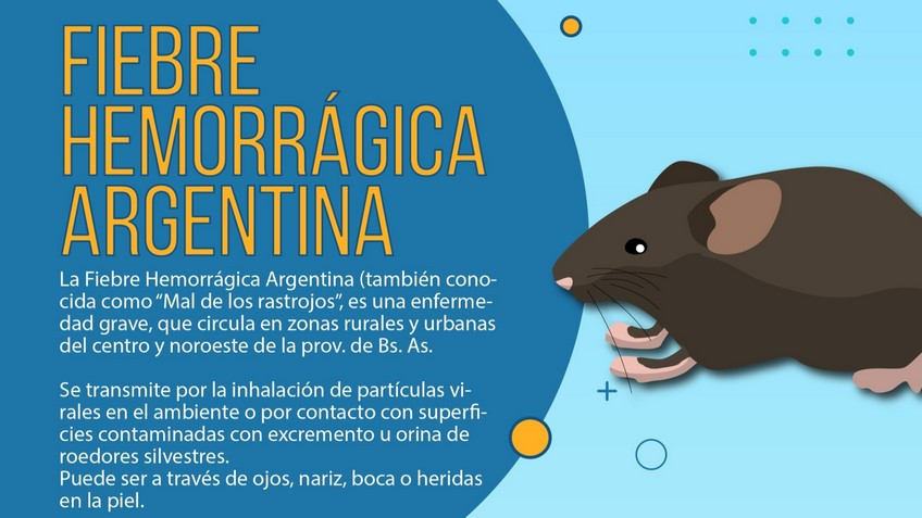 Vacunación contra la Fiebre Hemorrágica Argentina