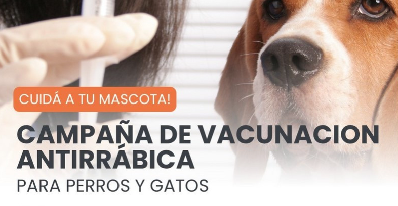 Inicia la Campaña 2026 de Vacunación Antirrábica Gratuita para perros y gatos